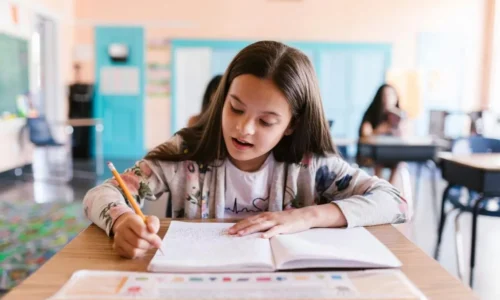 11 plus online tutoring