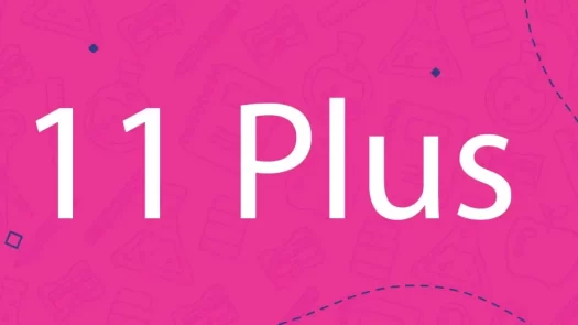 11 plus