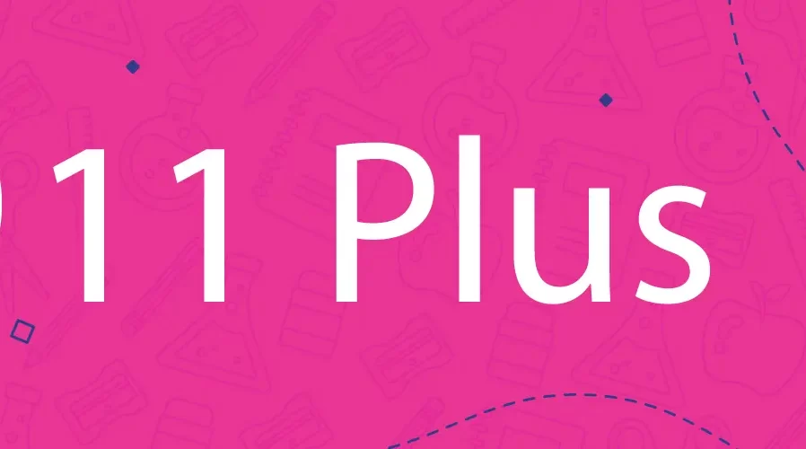 11 plus